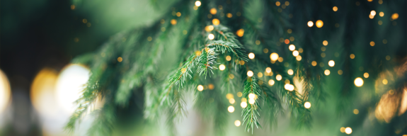 Öffnungszeiten während den Feiertagen