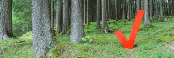 Mit neuer Strategie anders werden.