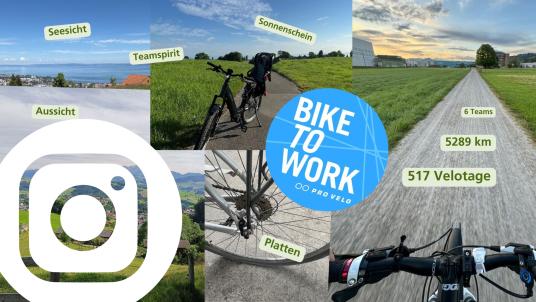 Folge uns auf Instagram